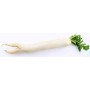 Navet long blanc - 1kg