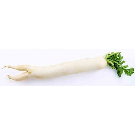 Navet long blanc - 1kg