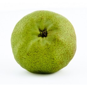 Poire packam - 1kg