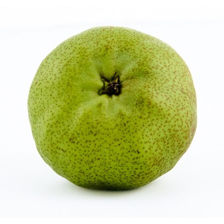 Poire packam - 1kg