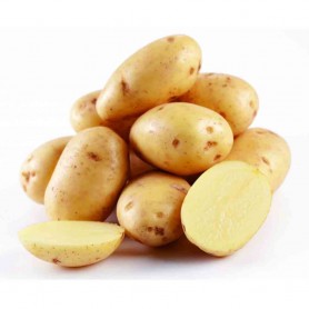 Pomme de terrre Blanche - Vrac - 1KG