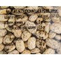 Haricots coco rosés - 1 kg