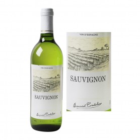 VIN ESPAGNE SAUVIGNON 75CL(1059477)