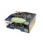 Crème dessert pistache x4 - DOLCE VITA - 400g