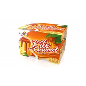 Desserts Flan Ile caramel 12X100g YOPLAIT