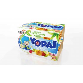 YOPAI ROUGE JAUNE 12X90G YOPLAIT