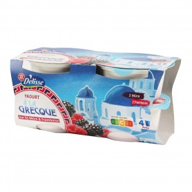 YAG LIT FRUITS ROUGES 4X150G(1035123)