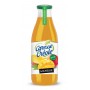 Nectar de mangue - CARESSE CREOLE - 1L